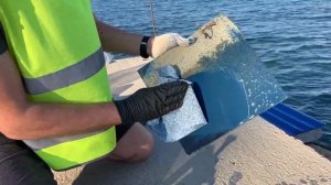 Тест необрастаек Sea-Line в соленой воде, Крым