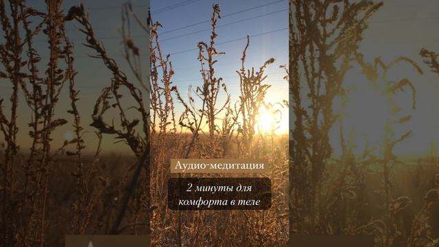 Аудиомедитация. 2 минуты для комфорта в теле. Тренер Виорелия Коврич