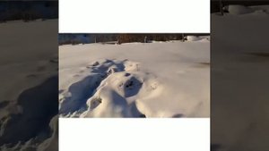 Разведение кроликов зимой/ Сибирские морозы/ наша родильня