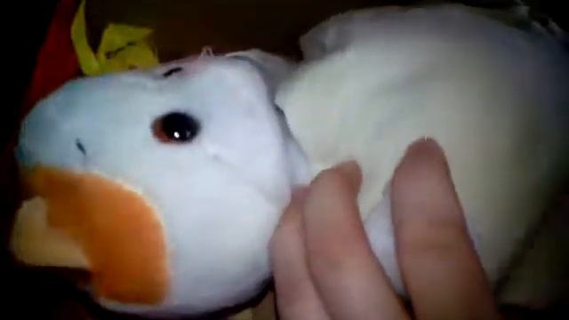 Я устроилась на работу учителя в школе Basik & Co 💁 5👍лайков =продолжение смотреть онлайн