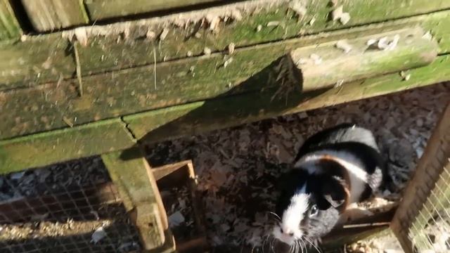 VLOG??: ?сколько платим за вывоз мусора в год / сходили в бассейн / домашние будни? смотреть онлайн