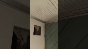 Потолок. Подсветка светодиодная. Ванная комната.