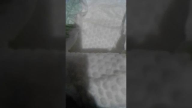 Подгузники Хаггис элит софт 5