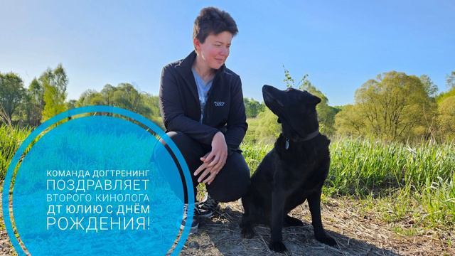 Поздравление с Днём Рождения! смотреть онлайн