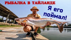 Тонны рыбы в нано луже! Эти рыбины ломают все снасти ЁКЛМН! Рыбалка на сома. Рыбалка 2024.