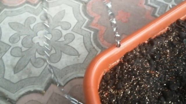 Как подвесить цветочный горшок / Кашпо за несколько минут своими руками - Всякая Всячина