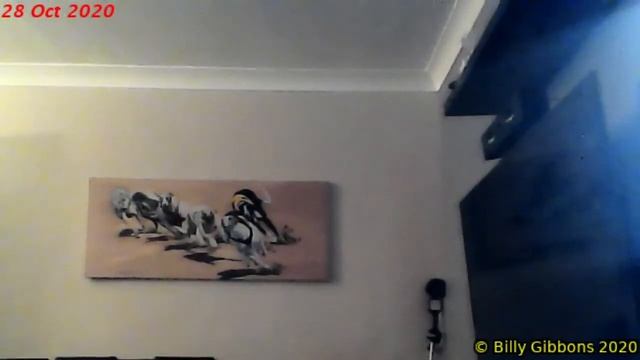 Diary 28 October 2020 #Live смотреть онлайн