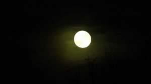 Луна теплой осенью Весит укак спелый мандарин на ночном небе