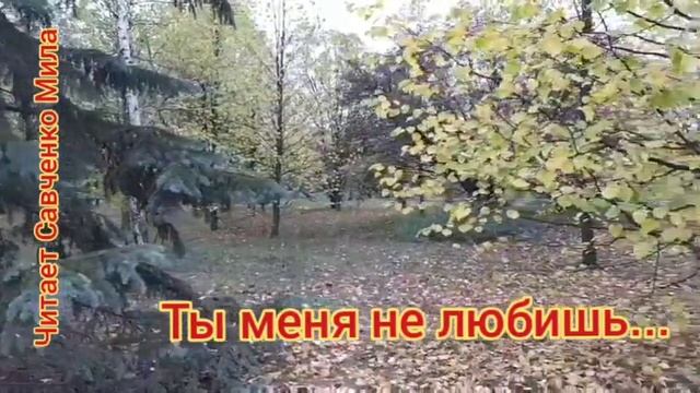 Ты меня не любишь,не жалеешь....С.Есенин...декабрь 1925г смотреть онлайн