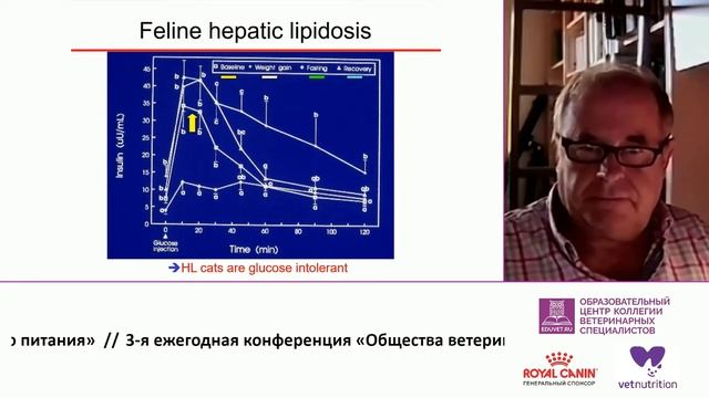 Печеночный липидоз кошек. Винсент Бьюрж