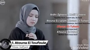 Атуна туфули