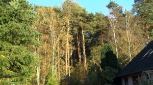 #ЧАСТНЫЙ СЕКТОР В ГЕРМАНИИ# ДОМ В КОТОРОМ МЫ ЖИЛИ#