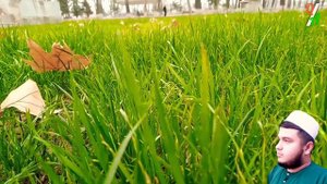 кори Амирхамза, мавлуд