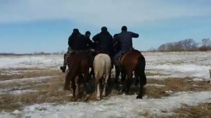 СКО Жамбылский район благовещенка кокпар 2019