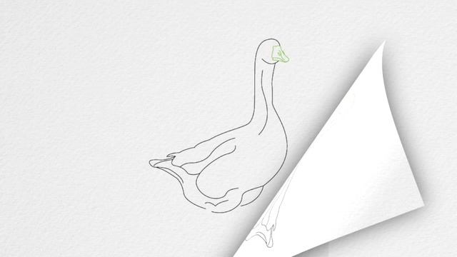 How to draw a GOOSE step by step смотреть онлайн