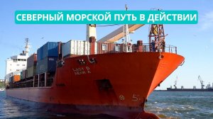 Северный морской путь в действии. Сухогруз "Леди Д" успешно зашел в сахалинские воды
