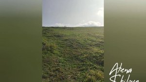 гора Сыркашинская 02.10.23 г.