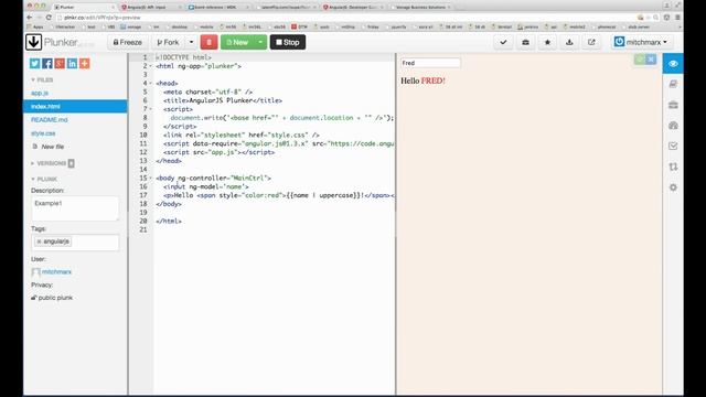 How AngularJs Works