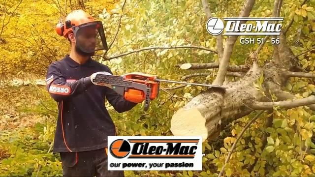 Бензопила Oleo-Mac GSH 56 | Официальный поставщик | Италия