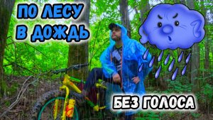 Без Голоса. По лесу в Дождь. Драники на Природе.