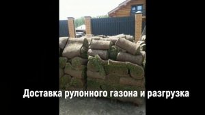 Ландшафтное проектирование и комплексное озеленение участка 30 соток