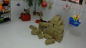 ДОМ ИЗ КОРОБОК РАЗРУШЕН. Смешной Кот Макс и Кошка Матильда - кто же виноват?