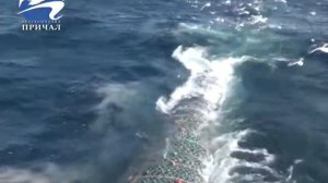 28 12 17 океанрыбфлот  -  итоги года