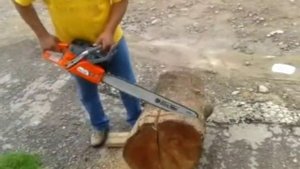 Oleo Mac 965 vs Husqvarna 281
