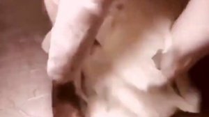 Баранья печень ?Горячая закуска