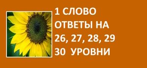 Игра 1 слово ответы на 26, 27, 28, 29, 30 уровни