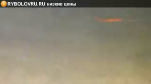 Игра плавающего воблера Real Fishing GD