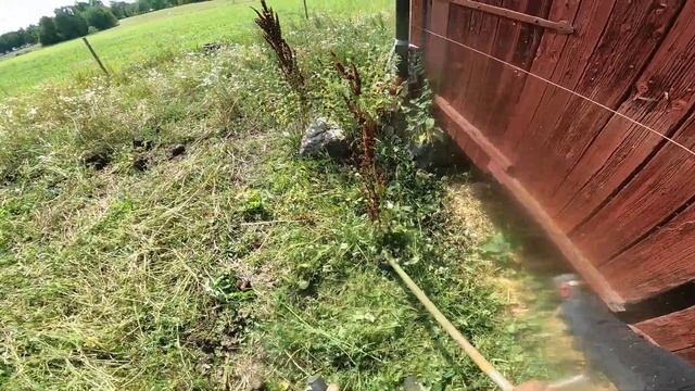 Boring?mowing thousands of white flowers around our?stable with trimmer in the Swedish countryside. смотреть онлайн
