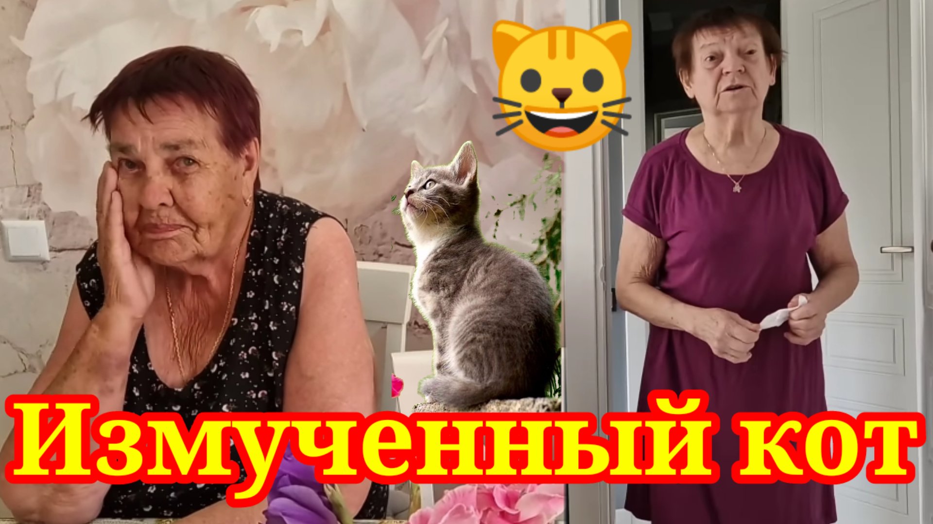 Измученный кот. Муробзор Saveliy Ad
