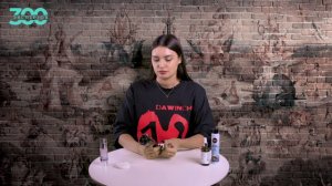 DR ARRIVO: THE ZEUS. Как правильно пользоваться❔👀