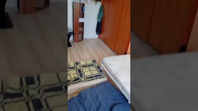 Как не пустить клопов в квартиру смотреть онлайн