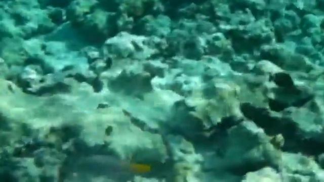 ШармАльШейх  пляж