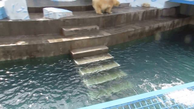 Наш малыш устал и спит 16.04.16 смотреть онлайн