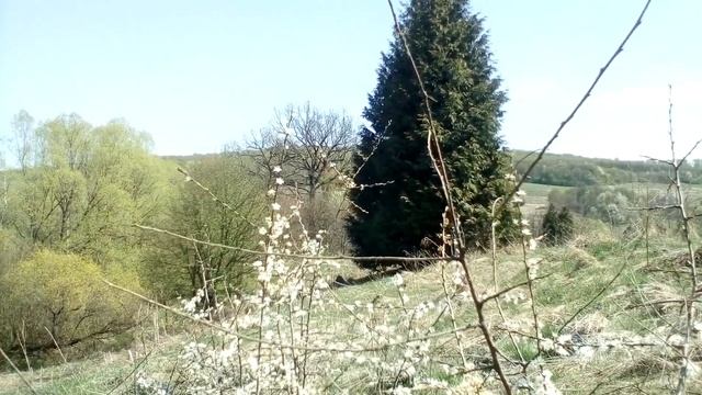 Христианские стихи с очень глубоким смыслом.
