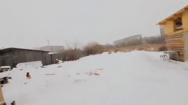 23 декабря 2022 г./МЕТЕЛЬ /ПОДЕЛКА /НАШИ БУДНИ смотреть онлайн