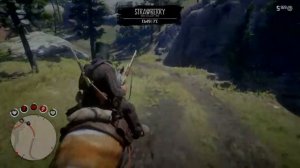 Охота в RDR2