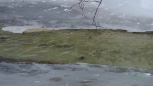 Вешние воды 2012. Ч-1