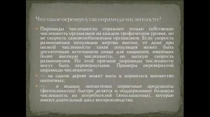 Потоки вещества и энергии в экосистеме.  Урок биологии.