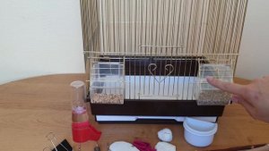 Что должно быть в клетке у попугая || Как выбрать клетку для попугая