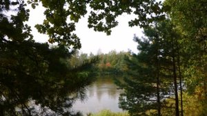 Русский лес. Начало осени. Красота природы Средней полосы России. Река Клязьма.