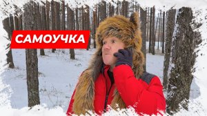 ⚡Самоучка! Comedy анекдот! Анекдот для Вас!⚡