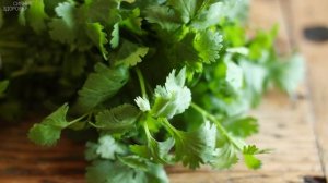 КИНЗА или КОРИАНДР - УНИВЕРСАЛЬНОЕ РАСТЕНИЕ ДЛЯ ЗДОРОВЬЯ, МОЛОДОСТИ И КРАСОТЫ