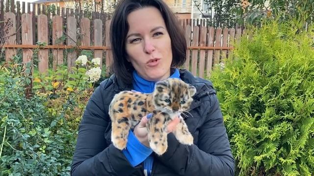 Леопард игрушка смотреть онлайн