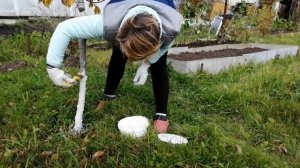 КРАСКА ДЛЯ ДЕРЕВЬЕВ. Защита плодовых деревьев.
Подготовка деревьев .