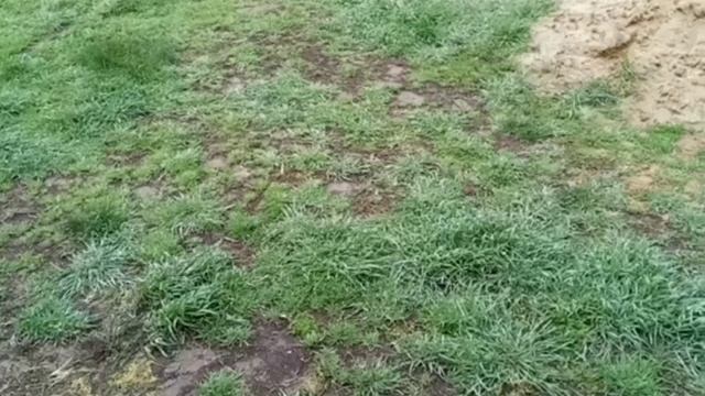 Попытка номер 2 ///Учиться никогда не поздно /// смотреть онлайн