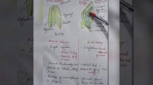 Difference Between Monocot & Dicot Embryo | Structure | In Malayalam